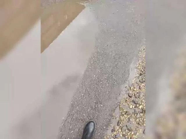 relishsavor on BongaCams