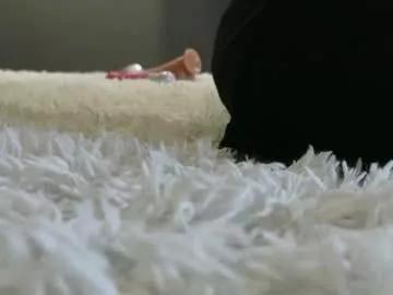 ayabellle on Chaturbate 