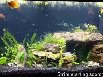 booker_baxton on Chaturbate 