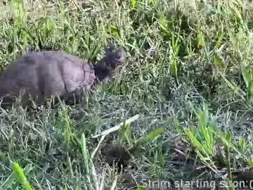 booker_baxton on Chaturbate 