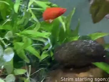 booker_baxton on Chaturbate 