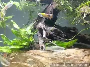 booker_baxton on Chaturbate 