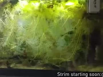 booker_baxton on Chaturbate 