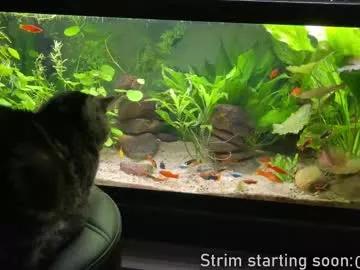 booker_baxton on Chaturbate 