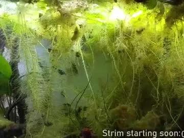 booker_baxton on Chaturbate 