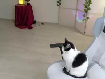 bubblewhite_ on Chaturbate 