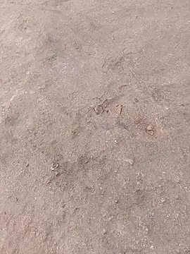 Hot_raaani — Mobile