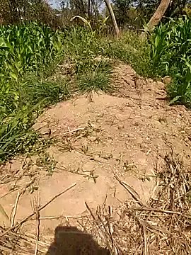 imasanju — My pusy