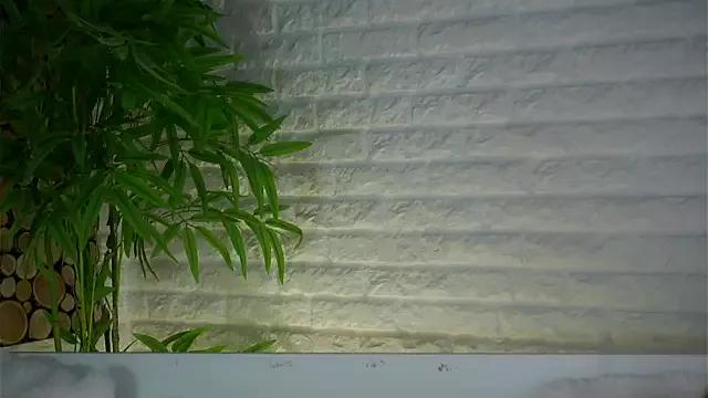 LowOncoming on StripChat 