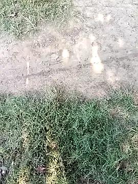 Mehta_seema from StripChat