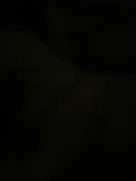 superhut — f on sc