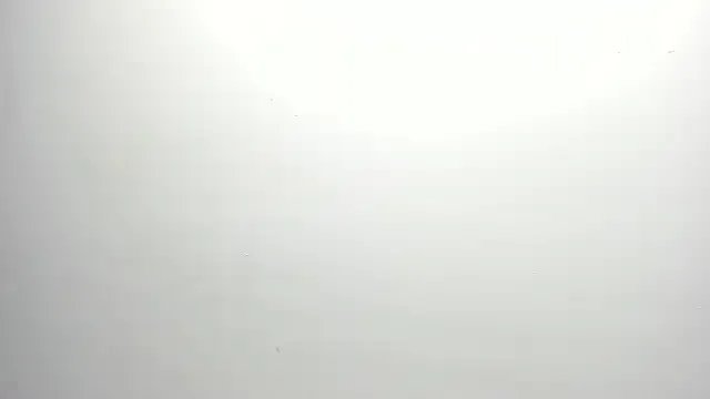 ximena_vasquez8 — Ride torso Xime